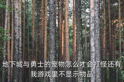 地下城与勇士的宠物怎么才会打怪还有我游戏里不显示物品