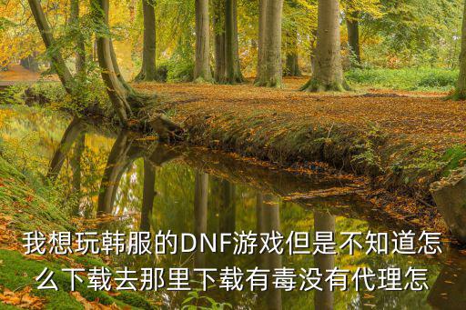 我想玩韩服的DNF游戏但是不知道怎么下载去那里下载有毒没有代理怎
