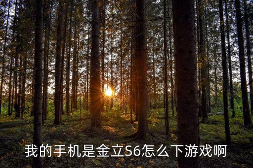 我的手机是金立S6怎么下游戏啊