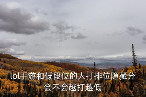 英雄联盟手游隐藏分怎么判定，lol隐藏分怎么看