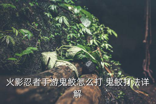 火影忍者手游鬼鲛怎么打 鬼鲛打法详解