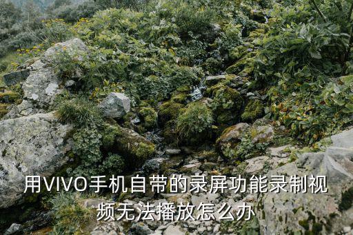 手游录屏崩溃视频怎么办，录屏崩溃结果出现mp4格式和flv格式文件