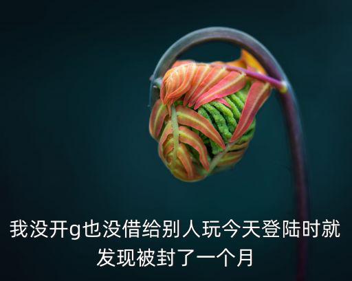 我没开g也没借给别人玩今天登陆时就发现被封了一个月