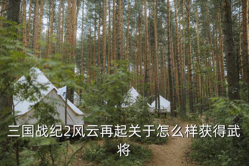 三国战纪2手游怎么获得招募，三国战纪2风云再起关于怎么样获得武将