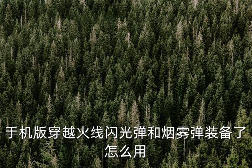 手机版穿越火线闪光弹和烟雾弹装备了怎么用