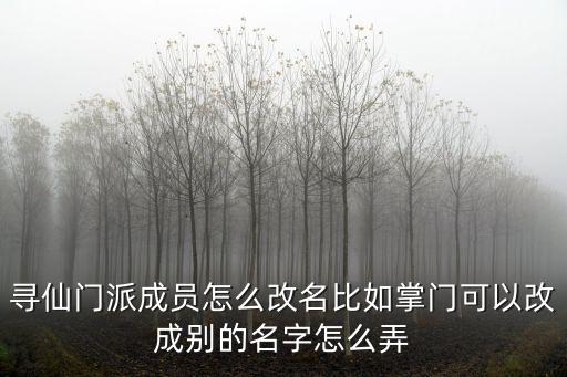 寻仙门派成员怎么改名比如掌门可以改成别的名字怎么弄