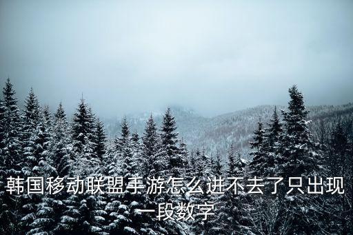 韩国移动联盟手游怎么进不去了只出现一段数字