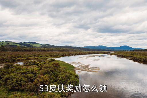 S3皮肤奖励怎么领