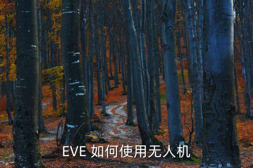 eve手游怎么提升无人机的数量，eve海神级怎样才能配出100无人机带宽