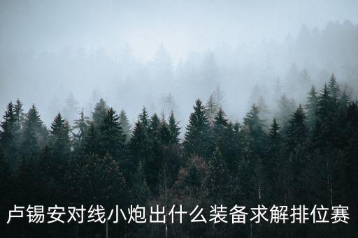 手游小炮怎么打卢锡安出装，请问小炮的核心装备是什么怎么出装顺序业余的请绕路没玩过小