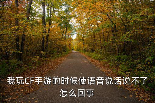 我玩CF手游的时候使语音说话说不了怎么回事