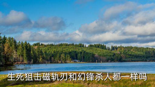 生死狙击磁轨刃和幻锋杀人都一样吗