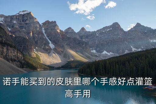 诺手能买到的皮肤里哪个手感好点灌篮高手用