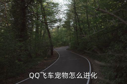 QQ飞车宠物怎么进化