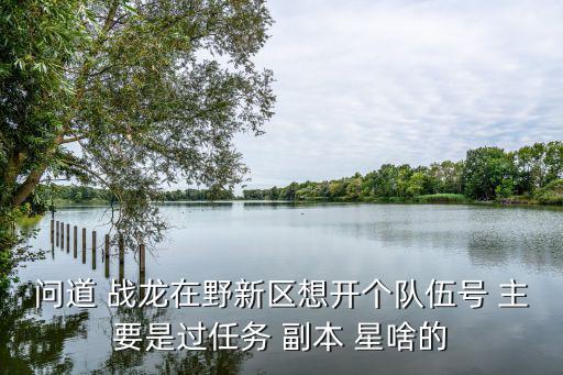 问道 战龙在野新区想开个队伍号 主要是过任务 副本 星啥的