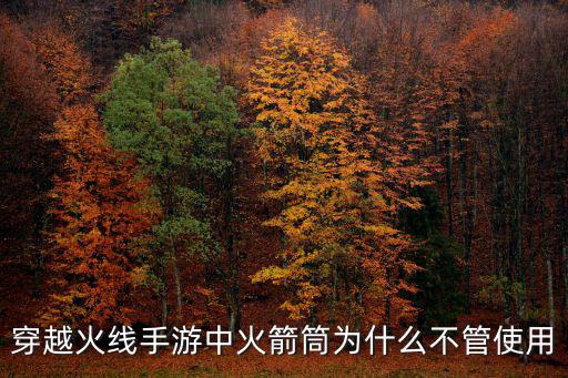 穿越火线手游中火箭筒为什么不管使用