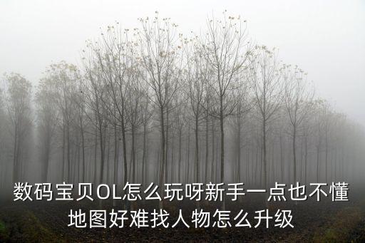 数码宝贝OL怎么玩呀新手一点也不懂地图好难找人物怎么升级