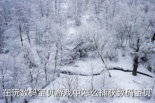 数码宝贝手游前期怎么玩，数码宝贝OL怎么玩呀新手一点也不懂地图好难找人物怎么升级