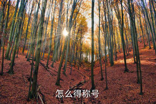 奥拉星手游五行使者称号怎么拿，怎么获得称号
