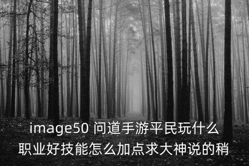 问道手游平民5开怎么加点，问道五开五行队怎么加点贫民