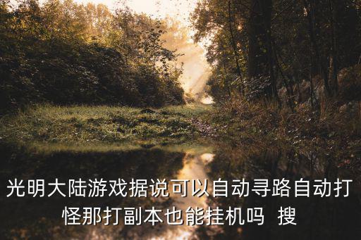 光明大陆游戏据说可以自动寻路自动打怪那打副本也能挂机吗 搜