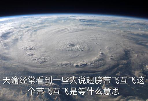 天谕经常看到一些人说翅膀带飞互飞这个带飞互飞是等什么意思