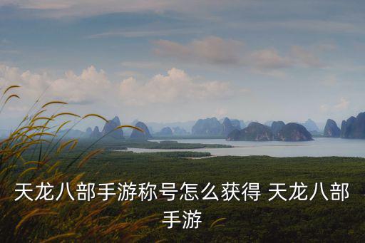 天龙八部手游全能英雄怎么获得，天龙八部手游中参加英雄试炼需要找哪个NPC