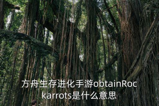 方舟生存进化手游obtainRockarrots是什么意思