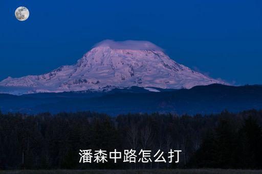 潘森中路怎么打