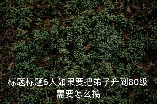 标题标题6人如果要把弟子升到80级需要怎么搞