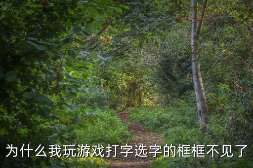 为什么我玩游戏打字选字的框框不见了