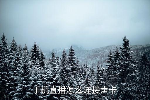 手机直播怎么连接声卡