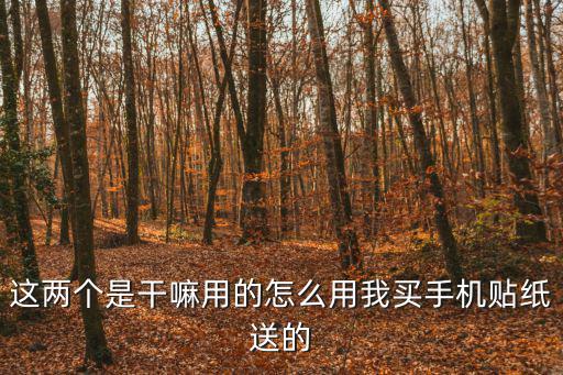 手游传奇冰霜群雨怎么用，这两个是干嘛用的怎么用我买手机贴纸送的