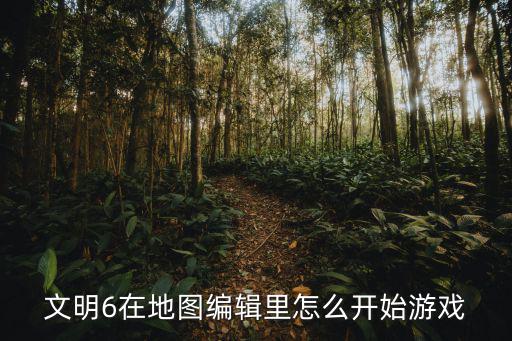 文明6在地图编辑里怎么开始游戏