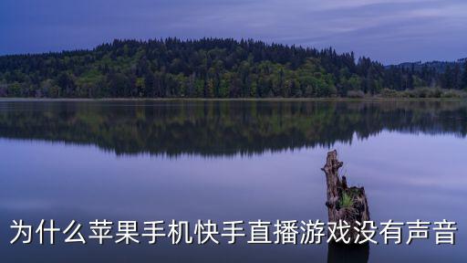 为什么苹果手机快手直播游戏没有声音