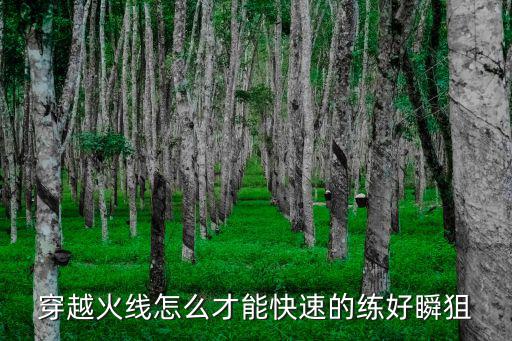 穿越火线怎么才能快速的练好瞬狙