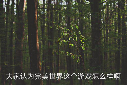 大家认为完美世界这个游戏怎么样啊