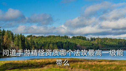 问道手游精怪资质哪个法攻最高一级能带么
