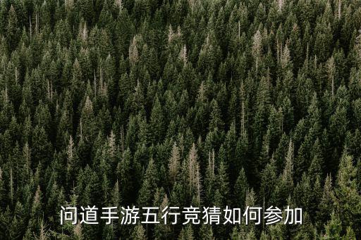 问道手游五行竞猜怎么参加，问道手游五行竞猜如何参加