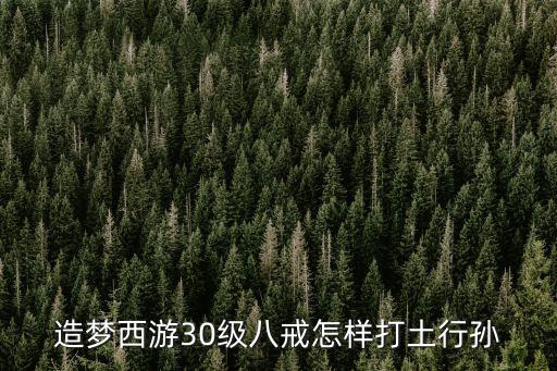 造梦西游怎么打土行孙手游，造梦西游 土行孙怎么打