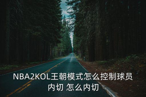 NBA2KOL王朝模式怎么控制球员内切 怎么内切