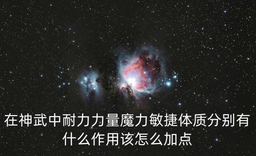 在神武中耐力力量魔力敏捷体质分别有什么作用该怎么加点