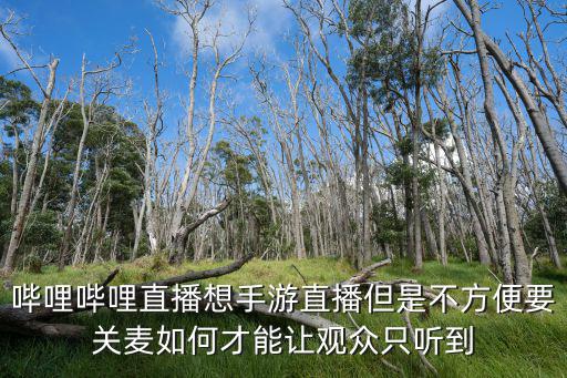 哔哩哔哩直播想手游直播但是不方便要关麦如何才能让观众只听到