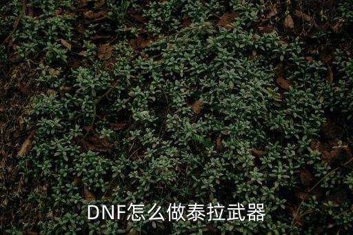 dnf手游怎么获得泰拉武器，DNF泰拉武器怎么获得