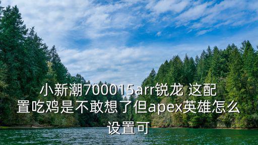 小新潮700015arr锐龙 这配置吃鸡是不敢想了但apex英雄怎么设置可
