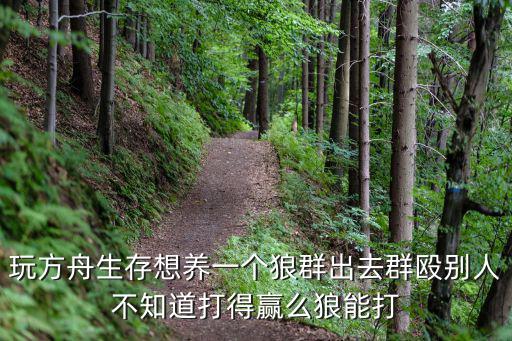 玩方舟生存想养一个狼群出去群殴别人不知道打得赢么狼能打