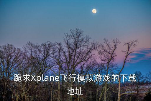 跪求Xplane飞行模拟游戏的下载地址