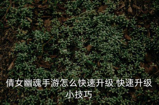 倩女幽魂手游怎么快速升级 快速升级小技巧