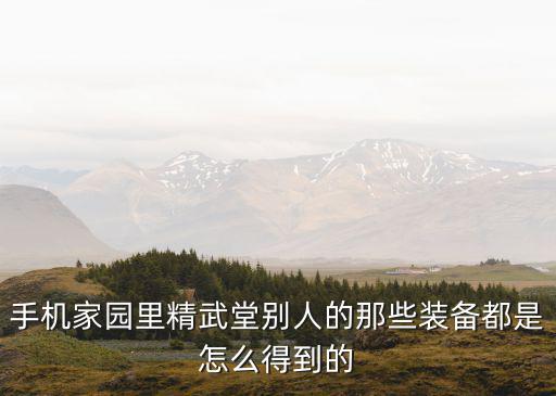 天刀手游家园材料怎么得到，手机家园里精武堂别人的那些装备都是怎么得到的