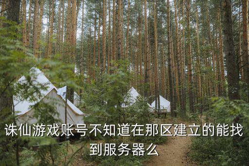 诛仙游戏账号不知道在那区建立的能找到服务器么